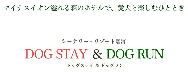 DOG STAY & DOG RUN